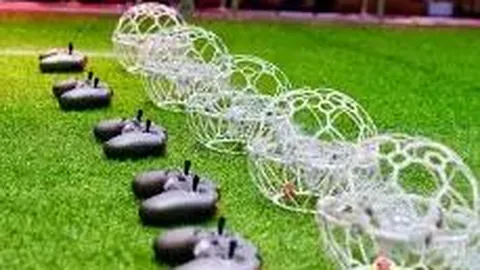 【独家揭秘】2026012期双色球预测大放送：权威分析家精准预测12红球+2蓝球，揭秘最新实战心得！