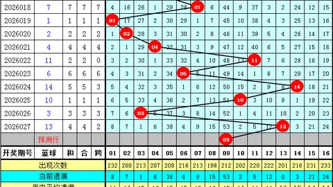 2026025双色球专家复式82预测，大乐透质合分析推荐