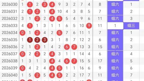 26053期大乐透专家推荐：质合分析组选包胆策略